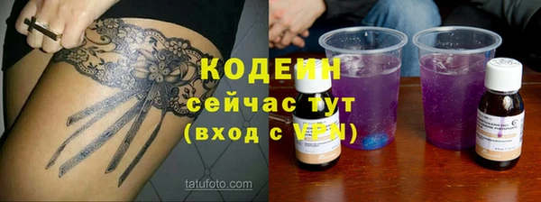 спиды Рославль