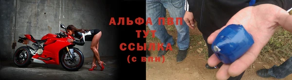 винт Алзамай