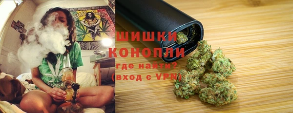 ПСИЛОЦИБИНОВЫЕ ГРИБЫ Алексеевка