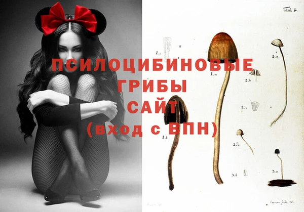 таблы Арсеньев