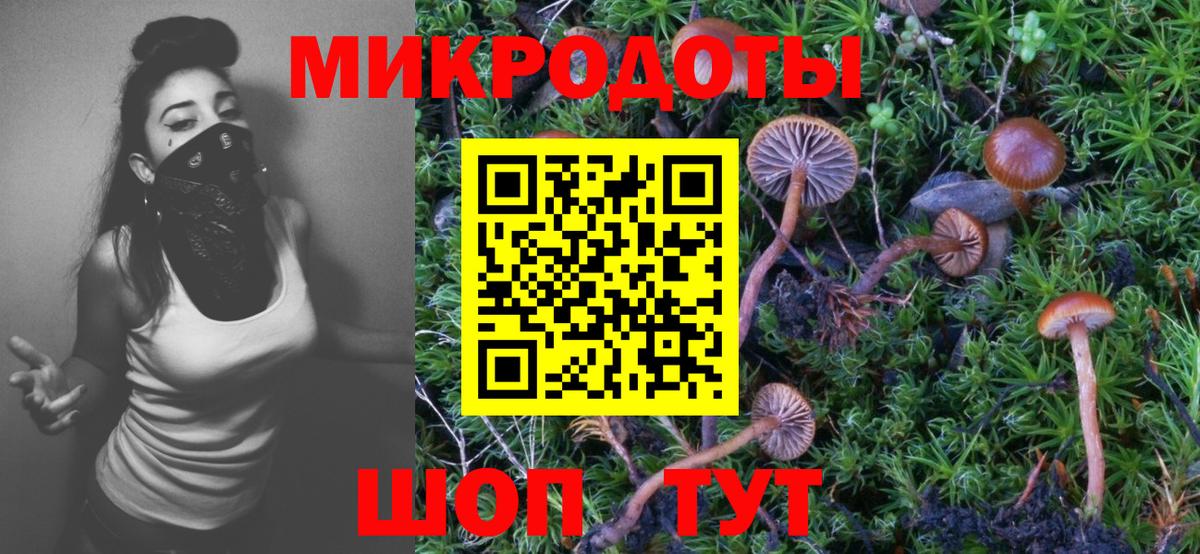 Галлюциногенные грибы Psilocybine cubensis  Галлюциногенные грибы прущие грибы  где купить   Вход с VPN  Светлоград 